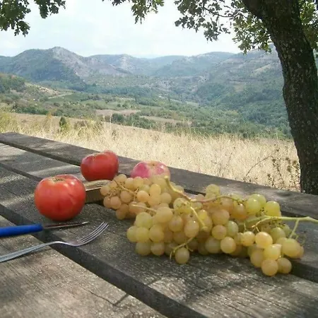 Bratislava بيت ضيافة